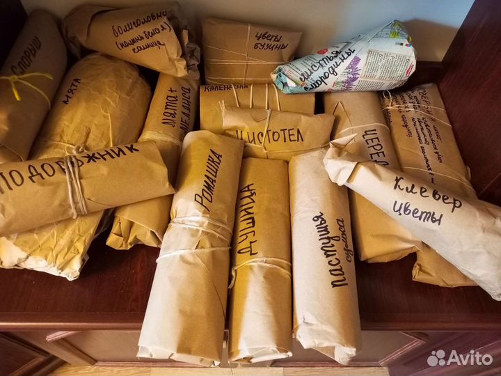 Лекарственные травы, растения