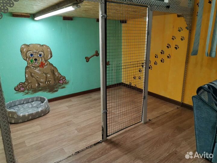 Передержка животных