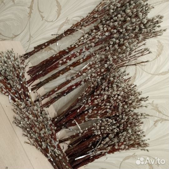 Верба оптом