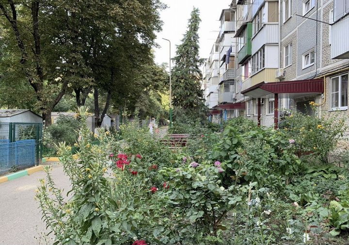 4-к. квартира, 61,6 м², 4/5 эт.