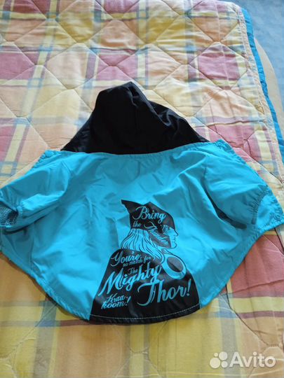 Дождевик для собаки