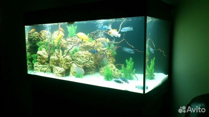 Изготовление аквариумов любых размеров