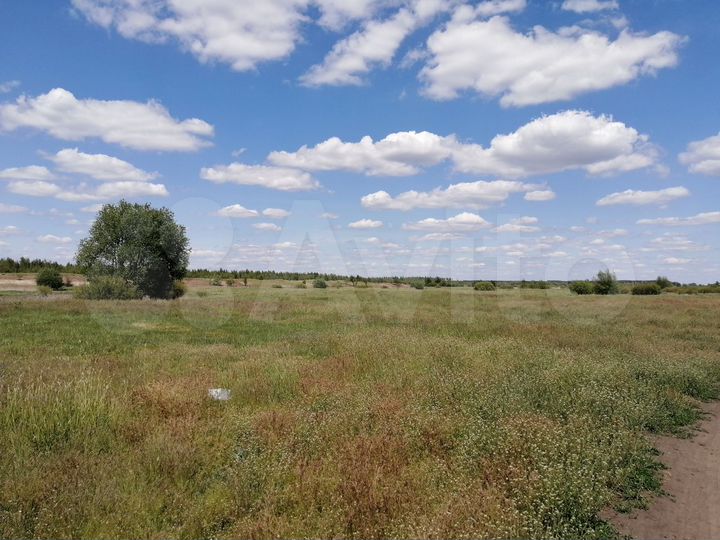 Участок 5,47 га (ИЖС)