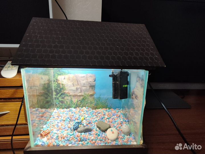 Аквариум