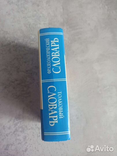 Словарь фразеологический и толковый 2в1
