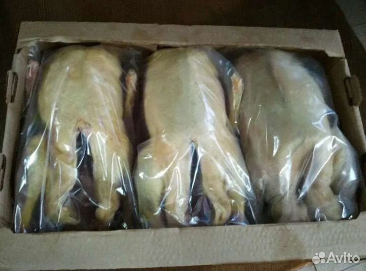 Тушки гуся оптом