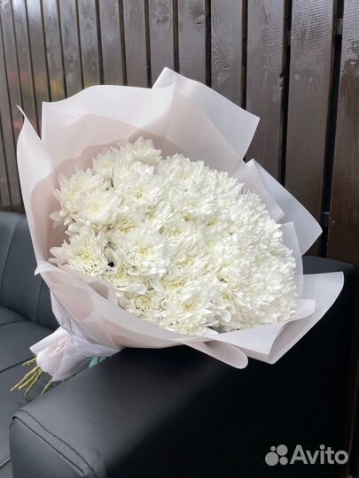 Махровая хризантема Эквадор