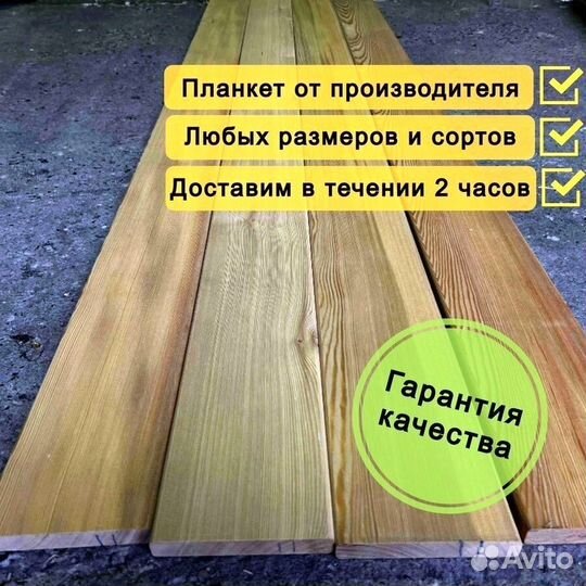 Планкен прямой лиственница