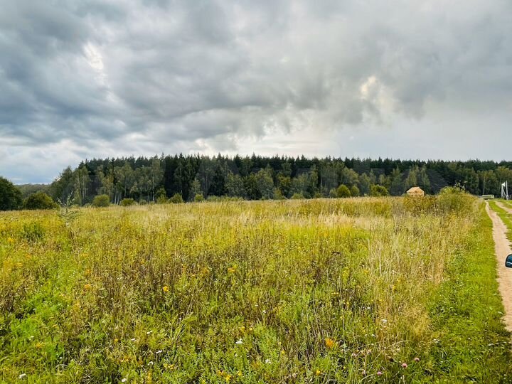 Участок 10 сот. (ИЖС)