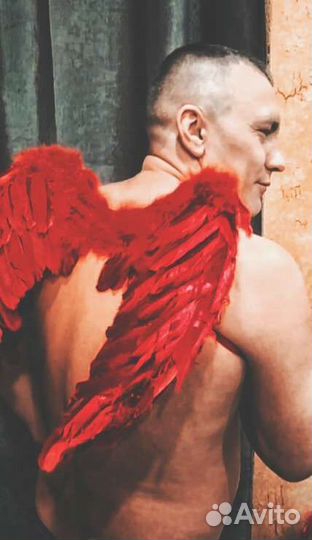 Крылья,Купидон, фотосессия, вечеринка