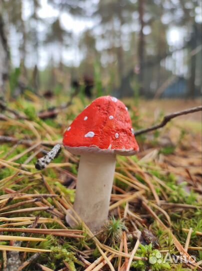 Грибы. Декор для сада