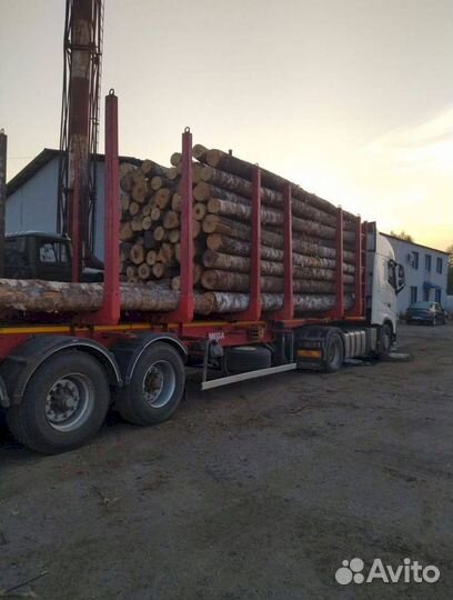 Дрова березовые колотые