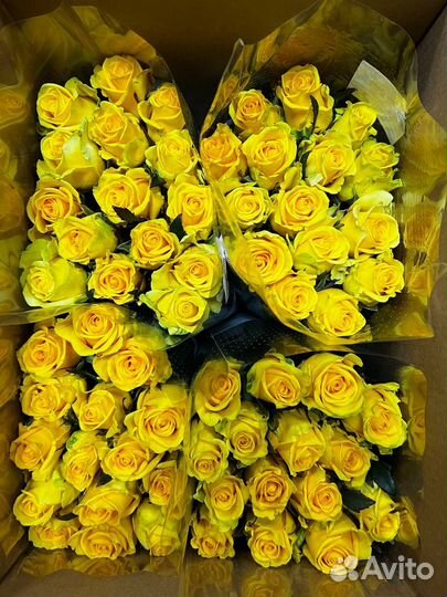 Цветы оптом - розы оптом