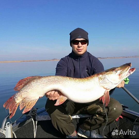 Рыбалка с гидом