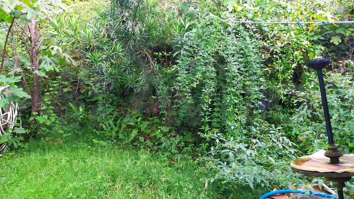 Участок 7,5 сот. (СНТ, ДНП)