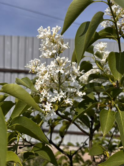 Дом 212 м² на участке 16 сот.