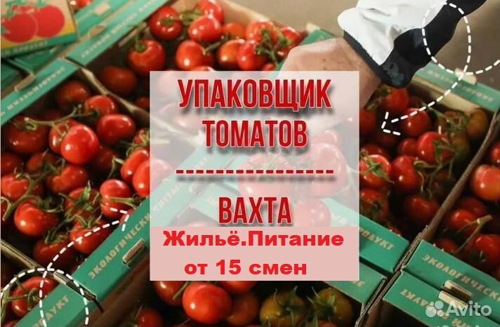 Сборщик-Упаковщик черри.Бесплатный автобус