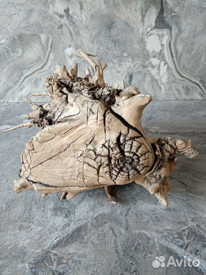 Дрифтвуд(красивые коряги)