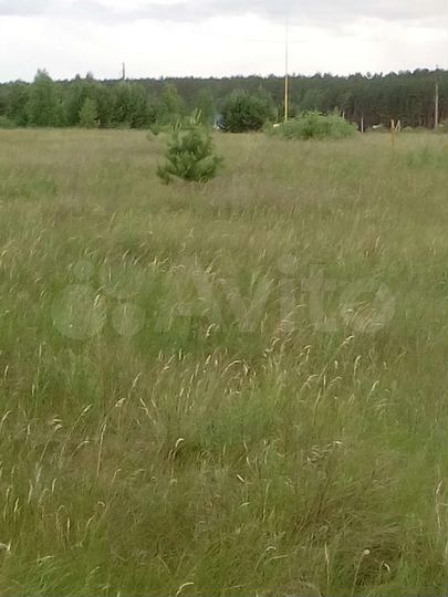 Участок 13,3 сот. (ИЖС)