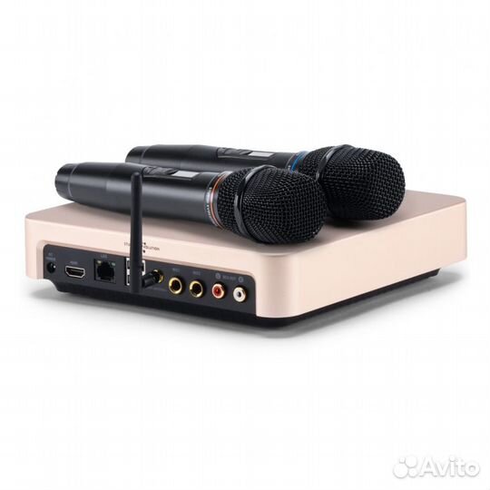 Караоке система Evolution Evobox Plus Gold