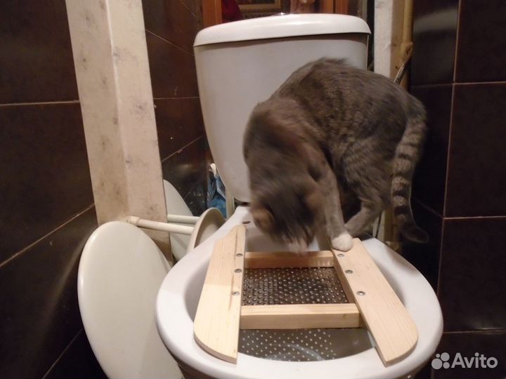 Лоток для кошки - накладка на унитаз