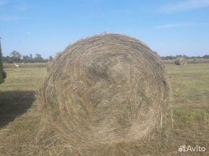 Солома в рулонах