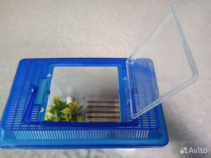 Аквариум для черепахи