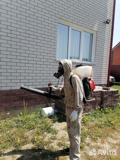 Дезинфекция Дезинсекция Обработка от вредителей