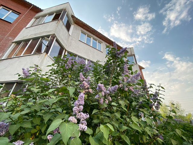 2-к. квартира, 58 м², 2/3 эт. на продажу в Большом Истоке | Купить ...