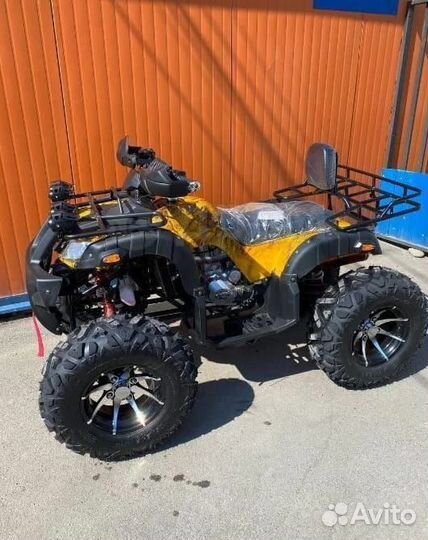 Квадроцикл Grizzly 300cc желтый кмф