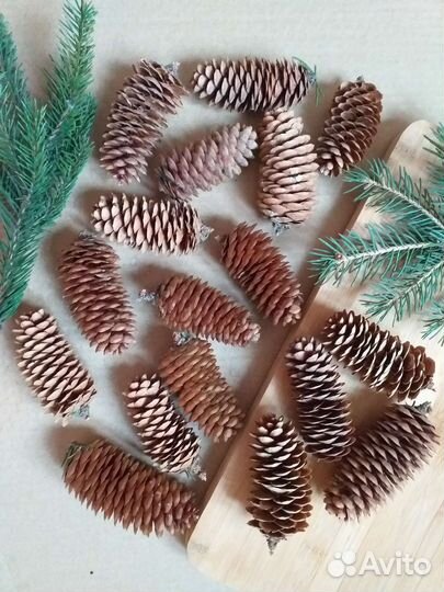 Шишки еловые для поделок средний размер