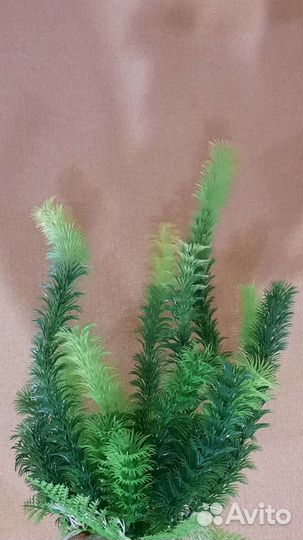 Декорации для аквариума