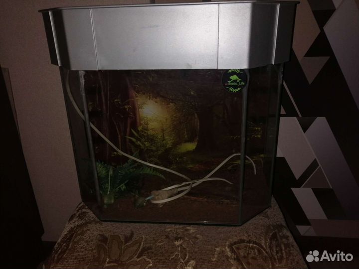Аквариум