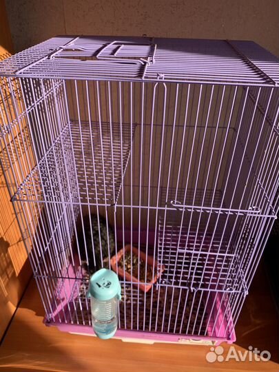 Декоративная крыса с клеткой