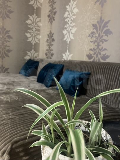 1-к. квартира, 37 м², 4/5 эт.