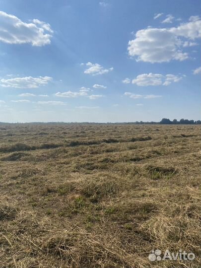 Сено в тюках