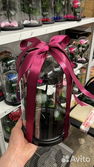 Роза в колбе из эквадора