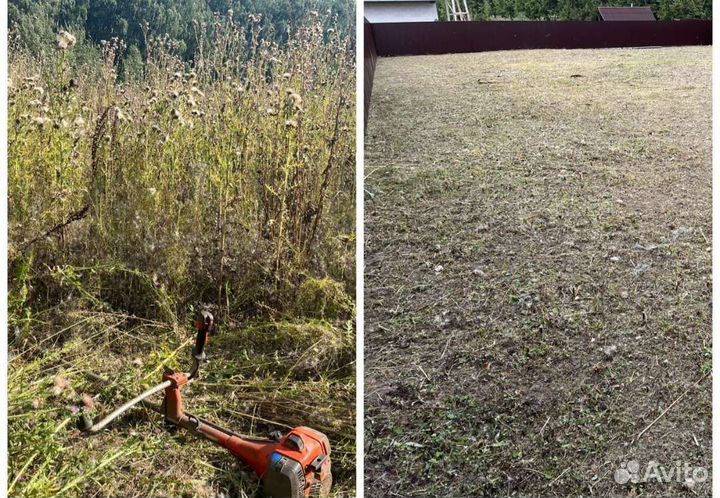 Спил деревьев, удаление пней, расчистка участка