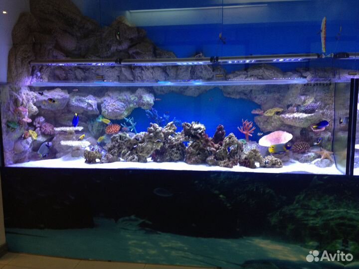 Аквариум на заказ в Улан-Удэ по вашим размерам