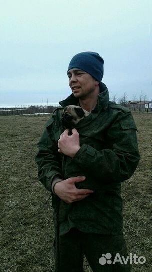 Дрессировка собак.Коррекция поведения любых пород