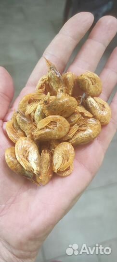 Природный корм для рептилий, черепах, раков, рыбы