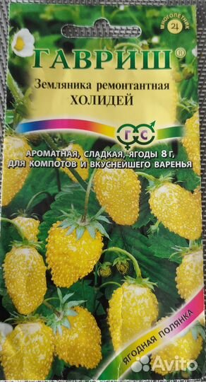 Земляника ремонтантная