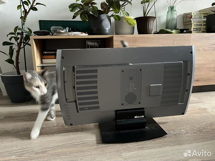 Монитор Sony PS 3D Display