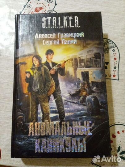 Stalker Аномальные каникулы