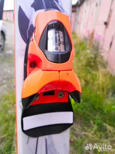 Горные лыжи