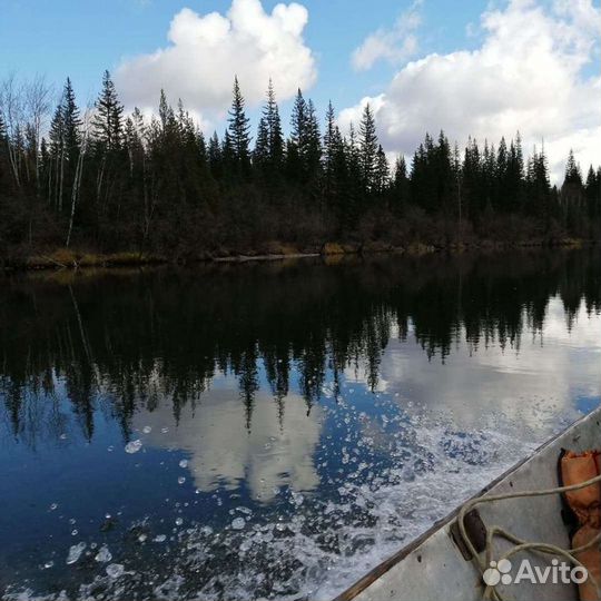 Походы, туризм