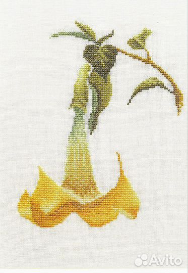 Схемы из набора цветочных этюдов Thea Gouverneur