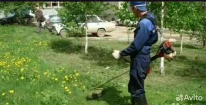 Покос травы