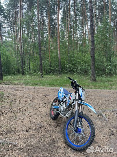 Кросс XT 250 HS