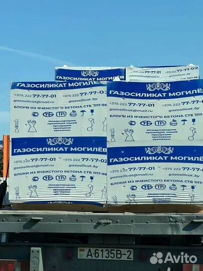 Газосиликатный блок 600-300-200